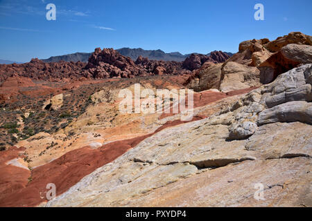 NV00012-00...NEVADA - Multicolored sandstone in the Fire Canyon area of Valley of Fire State Park. Stock Photo