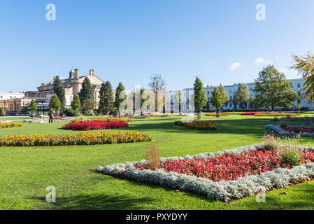 Colourful autumn flowerbeds in Imperial Square and Gardens in Cheltenham, Gloucestershire Stock Photo