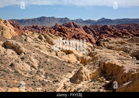 NV00027-00...NEVADA - A jumble of sandstone, ribs and mounds of Fire Canyon from the overlook in Valley of Fire State Park. Stock Photo
