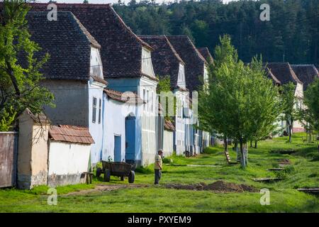 ROMANIA, VISCRI. The remote village of Viscri  founded by Transyslvanien Saxons preserves his rural charme til today.  It is a UNESCO World Hertiage s Stock Photo