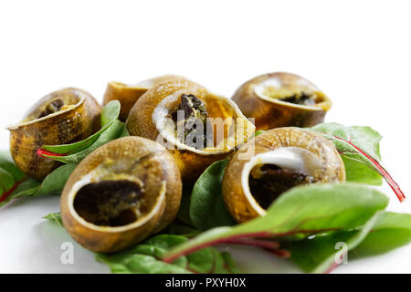 Grilled snales in shells on bed of beetroot leaves. White background. Stock Photo
