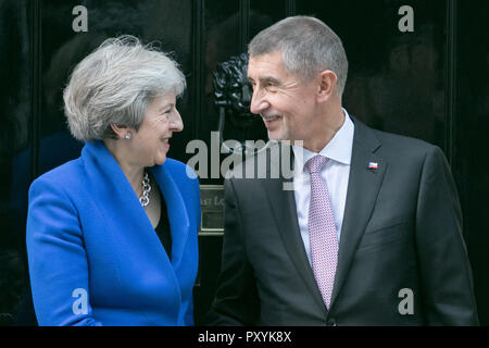 London, UK. 24th Oct, 2018. The Prime Minister of the Czech Republic, Andrej Babiš is welcomed at Downing Street by British PM Theresa May.  who are expected to discuss Brexit during their bilateral meeting at Number 10 Credit: amer ghazzal/Alamy Live News Stock Photo