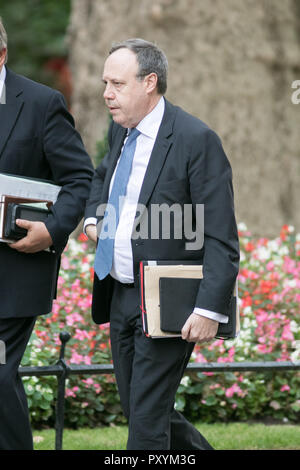 London, UK. 24th Oct, 2018. Nigel Dodds, Deputy Leader of the Unionist DUP Democratic Unionist Party, arrives at Downing Street for a meeting with Prime Minister Theresa May to discuss the ongoing Brexit negotiations Credit: amer ghazzal/Alamy Live News