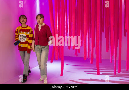 Chengdu, China. 24th Oct, 2018. The creative instant noodle themed exhibition is held at a shopping mall in Chengdu, southwest China's Sichuan Province. Credit: SIPA Asia/ZUMA Wire/Alamy Live News Stock Photo