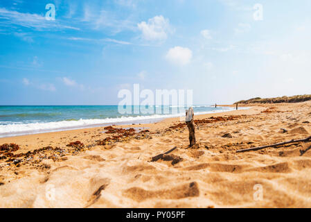 Tree trunk planted in the beach of Ostuni, lido green forest in the park of coastal dunes Stock Photo