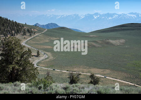 View of the White Mountains in Inyo National Forest in the Ancient Bristlecone Pine Forest Stock Photo