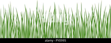 Grass detailed silhouettes. Isolated on white. Herbs garden. For web, wallpaper, decoration, textile, prints banners wrapping packing Stock Vector
