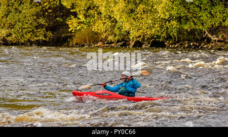 RIVER SPEY SCOTLAND IN AUTUMN RED SALTO KAYAK IN WHITE WATER RAPIDS Stock Photo