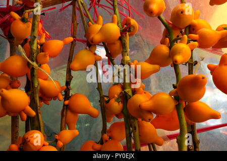 Photograph of lots of nipplefruit (Solanum mammosum) Stock Photo