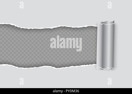 Vector realistic torn paper with rolled edge on transparent background Stock Vector