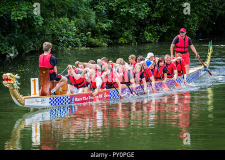 Dragon boat racing on the River Avon at Chippenham, Wiltshire, UK taken on 11 July 2015 Stock Photo