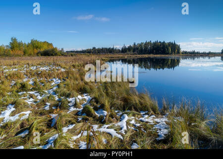 Early winter snow along an Alberta lake and marsh. Stock Photo