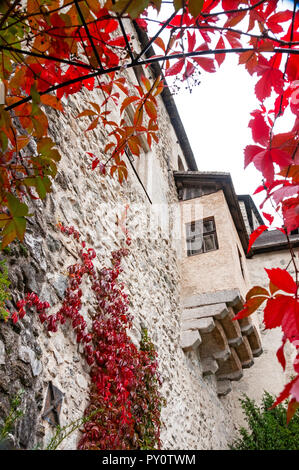 Looking up at a part of Castello di Tures/Burg Taufers through autumn leaves, Campo Tures/Sand in Taufers, Italy Stock Photo
