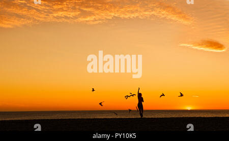 Silhouette of a woman feeding seagulls on beach at sunset, New Zealand Stock Photo