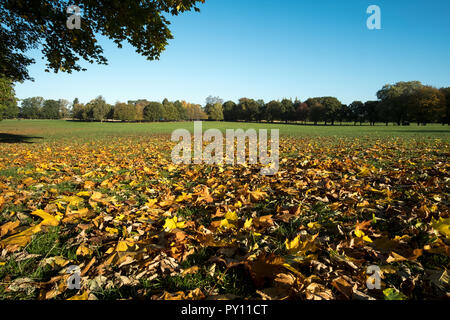 Autumn in Wollaton Park, Nottingham, UK Stock Photo