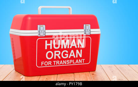 Portable fridge for transporting donor organs on the wooden table, 3D rendering Stock Photo