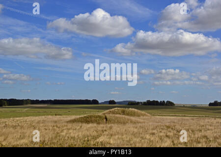 Cursus barrows. Ancient burial mounds or barrows in Stonehenge Cursus on the Stonehenge landscape, Wiltshire, England, UK Stock Photo