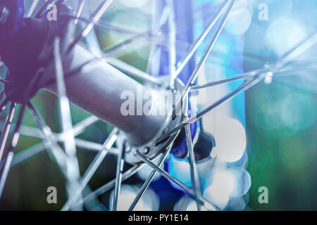 Bike front hub and spokes close up Stock Photo