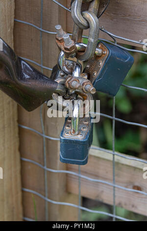 Padlocks and chains on wooden gate UK Stock Photo