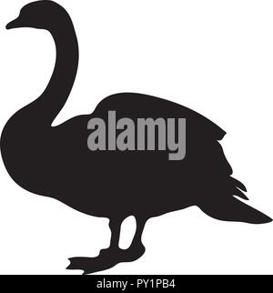 Black swan vector silhouette. Bird Stock Vector