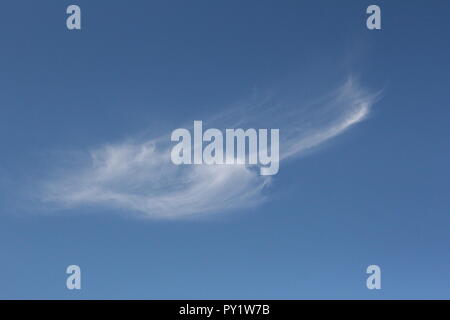 Simple and inspiring shot of the blue sky on a early summer day with a single whispy cloud floating in a gentle breeze. Stock Photo