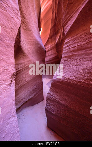 Narrow path through the Lower Antelope Canyon, Page, Arizona, USA Stock Photo