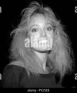 Susan Anton 1985 Photo By Adam Scull/PHOTOlink/MediaPunch Stock Photo