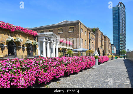West India Quay Canary Wharf Petunia flowers at historical Wetherspoons Ledger pub restaurant business London Marriott Hotel tower beyond England UK Stock Photo