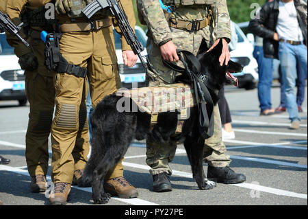 Police dog standing near soldiers of KORD (police strike force, SWAT). September 5, 2018. Kiev, Ukraine Stock Photo