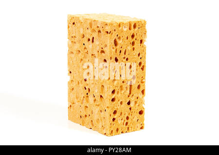 Big porous sponge isolated on white background Stock Photo - Alamy