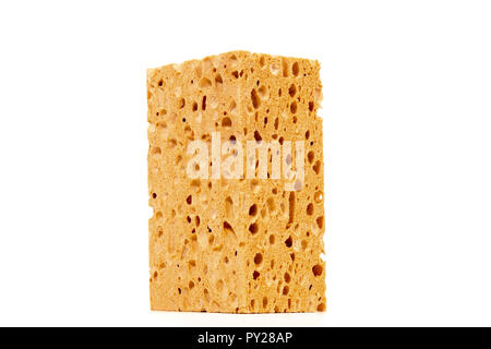 Big porous sponge isolated on white background. Stock Photo