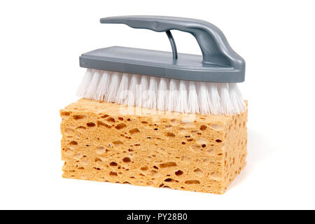 Big porous sponge with scrubbing brush isolated on white background. Stock Photo