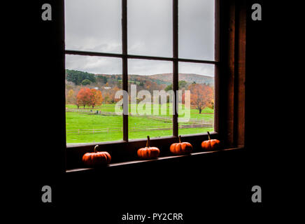 Looking out a Barn Windowsill, Billings Farm and Museum, Woodstock, autumn Vermont, farm, USA, October  2018 New England fall, into garden, hooligans Stock Photo