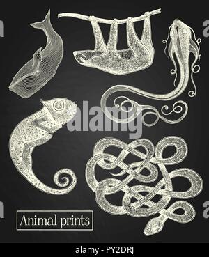 White animals illustrations on the blackboard background Stock Vector