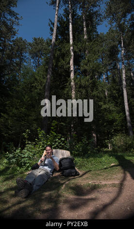 Hiker resting against a tree stump in the forest, Bosnia and Herzegovina Stock Photo