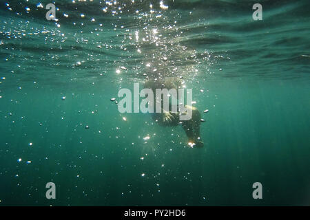 Man swimming underwater, Malta Stock Photo