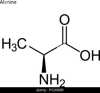 Skeletal formula. Amino acid molecule Stock Vector