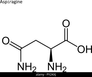 Skeletal formula. Amino acid molecule Stock Vector