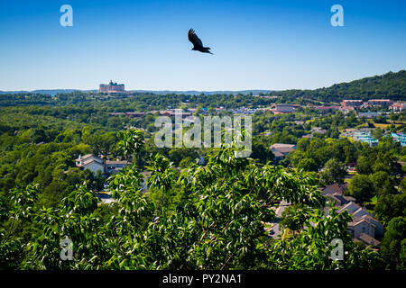 An American Crow in Branson at Southwest Missouri Stock Photo