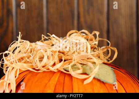 Top stem hairs on a pumpkin with a dark wooden backdrop Stock Photo