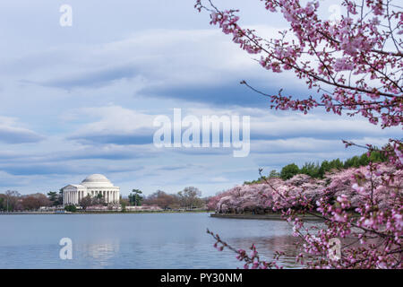 Thomas Jefferson Memorial during Cherry Blossom Festival at the tidal basin, Washington DC, USA Stock Photo