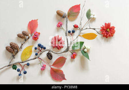 Autumn flat lay with various beautiful flowers and leaves Stock Photo