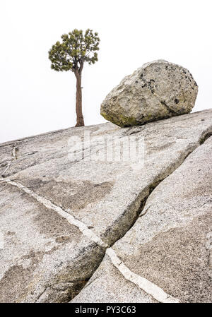 Felsenlandschaft mit Baum Stock Photo