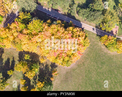 top view of city park in autumn. bright yellow, orange, red foliage of park trees