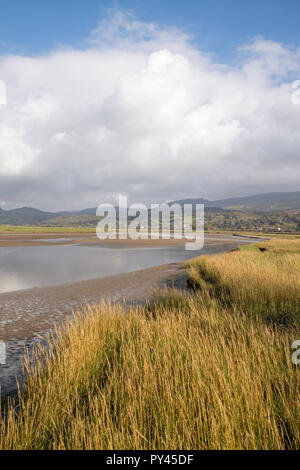 The Dwyryd Estuary, Snowdonia National Park, North Wales, UK Stock Photo