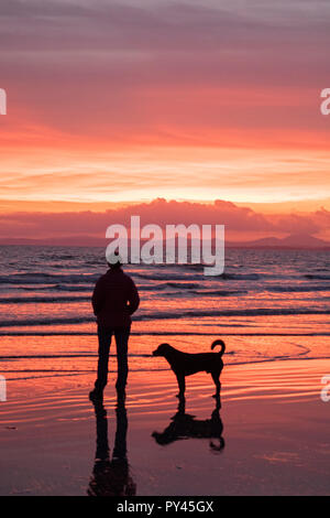 Walking the dog at sunset over the Llyn Peninsula from Black Rock sands, Snowdonia, North Wales Stock Photo