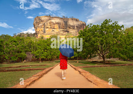 Young woman in a red top, black hot pants and high heels standing in front  of a tree Stock Photo - Alamy