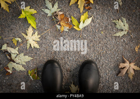 Top view of black rubber boots on asphalt and fallen leaves ground. Autumn bakground, wallpaper.