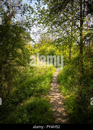 Footpaths and roads Billingshurst West Sussex UK Stock Photo - Alamy