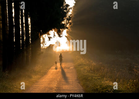 Woman with dog is running over a forest road. It is a foggy autumn morning. She is walking in the sun. Stock Photo